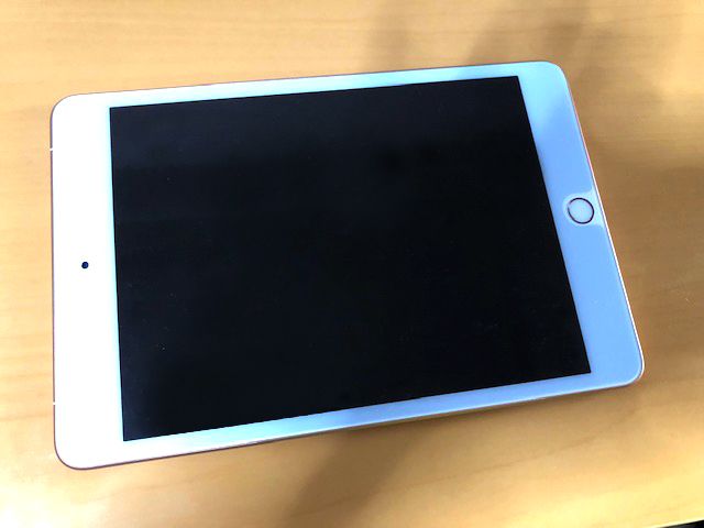 iPadmini5